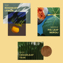 FRAGRANCE OIL - TEAK + NEROLI