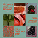 Shop Now INTERIOR SPRAY - TOMATO LEAF + AMBER at Fazeek