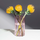 Shop Now WAVE VASE - PINK at Fazeek